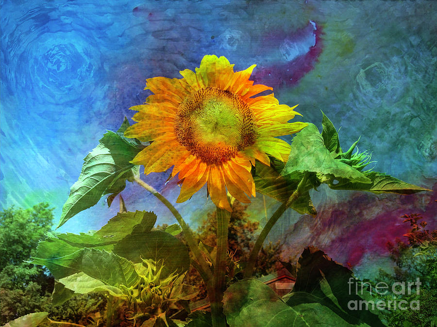 Sunflower A La Van Gogh Photograph by Luther Fine Art