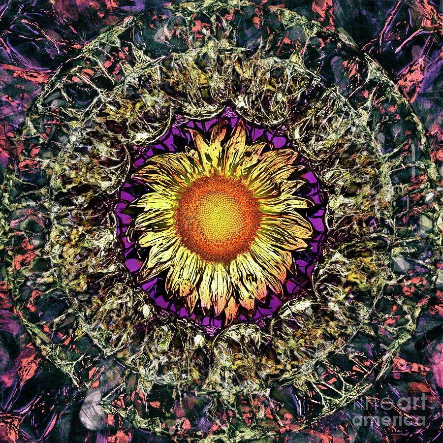 Sunflower Abstract Digital Art by Phil Perkins