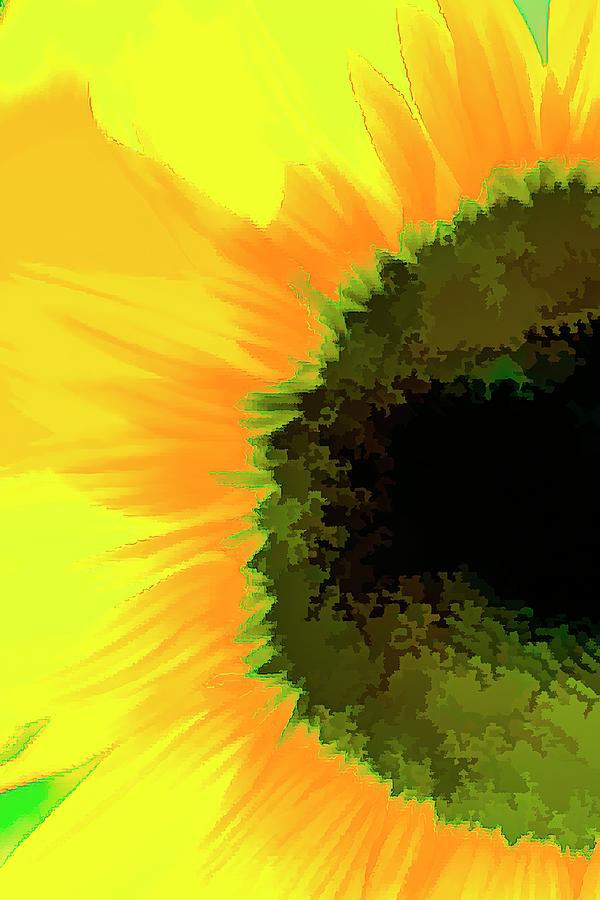 Sunflower Abstraction Art Photograph