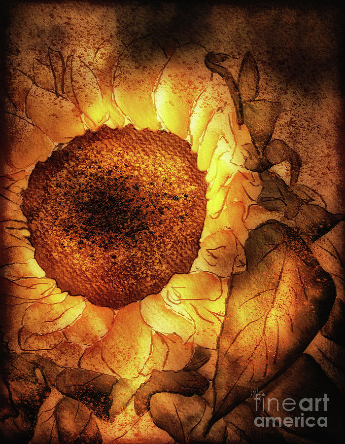 Sunflower Aglow Digital Art by Lois Bryan