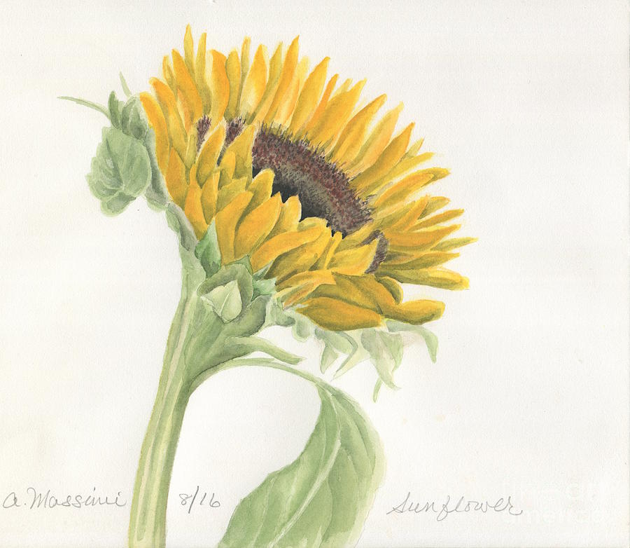 Sunflower Painting by Albert Massimi