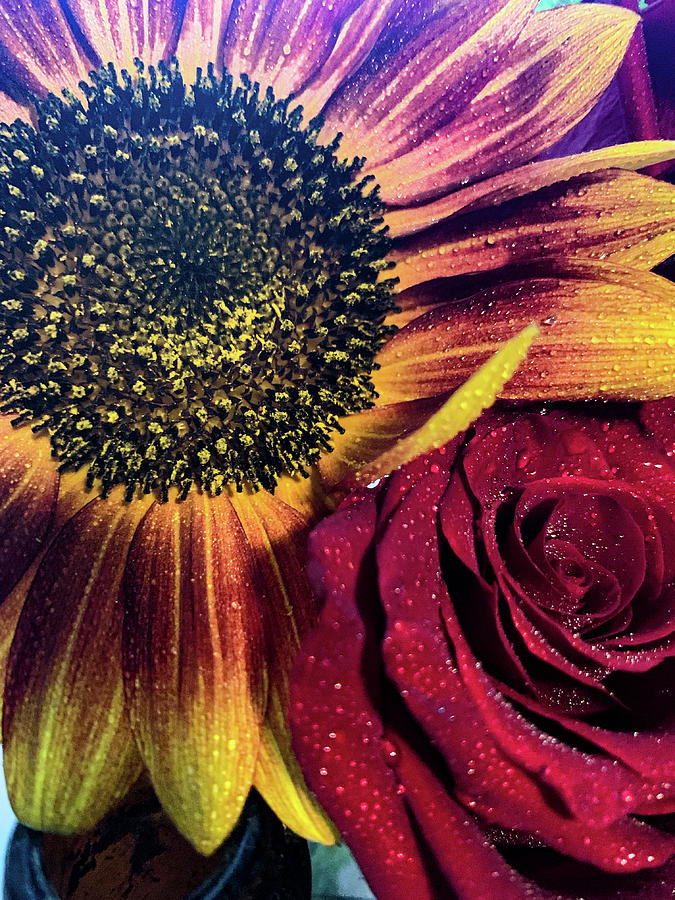 Free Sunflower and Roses Wallpaper  Download in Illustrator EPS SVG  JPG PNG  Templatenet
