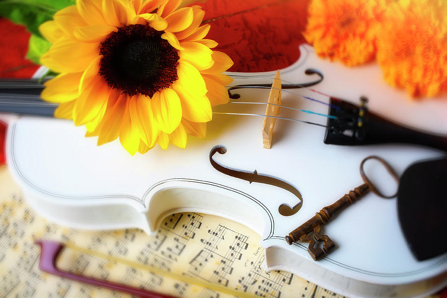 Sunflower And White Violin Photograph by Garry Gay