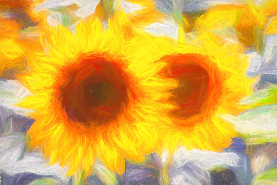 Sunflower Art Dreaming Photograph