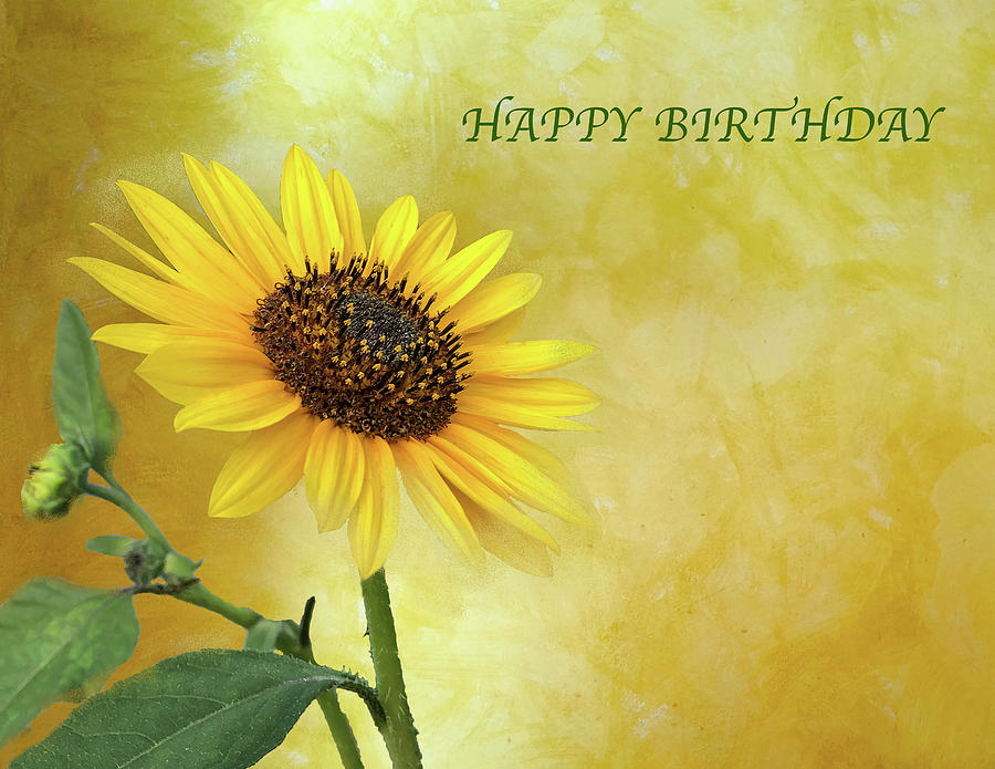 Sunflower Birthday Wish Photograph by Lorraine Baum