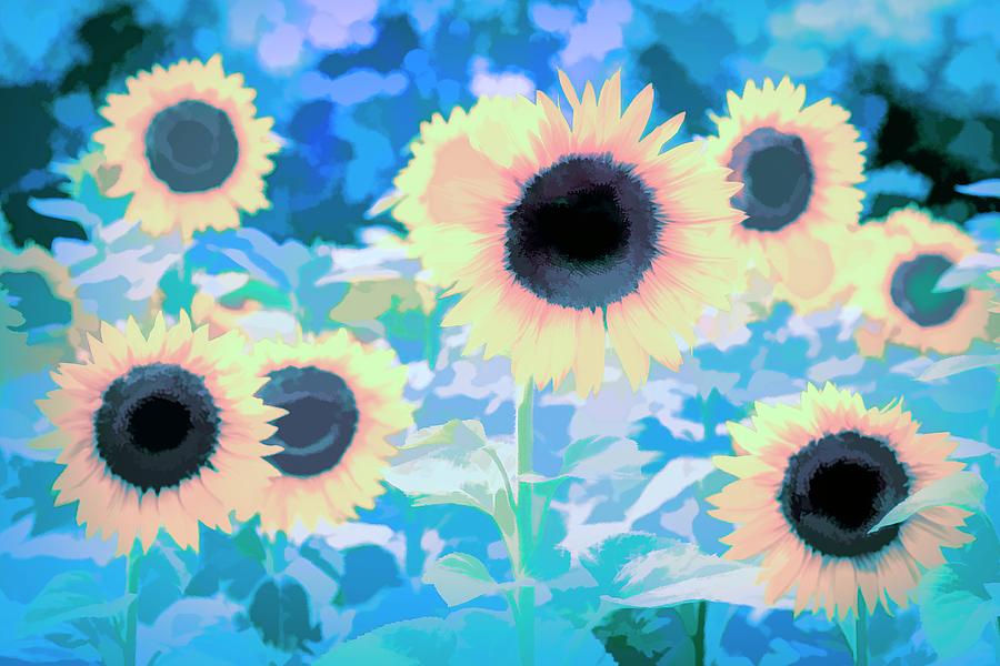 Sunflower Blue Art Photograph