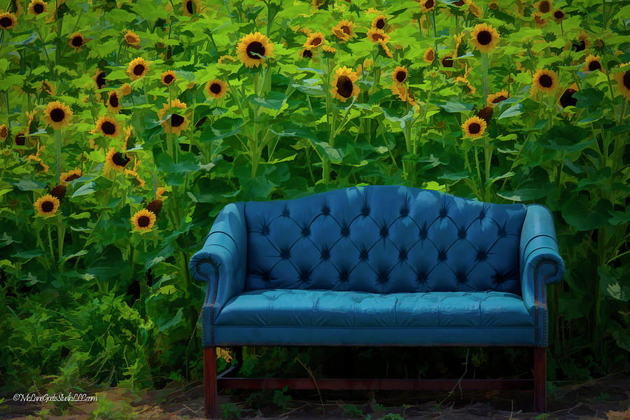 Sunflower Blue Couch Photograph by LeeAnn McLaneGoetz McLaneGoetzStudioLLCcom