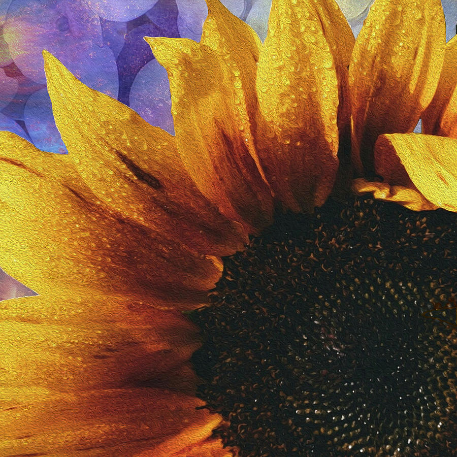 Sunflower Blues Digital Art by Joanna Smith