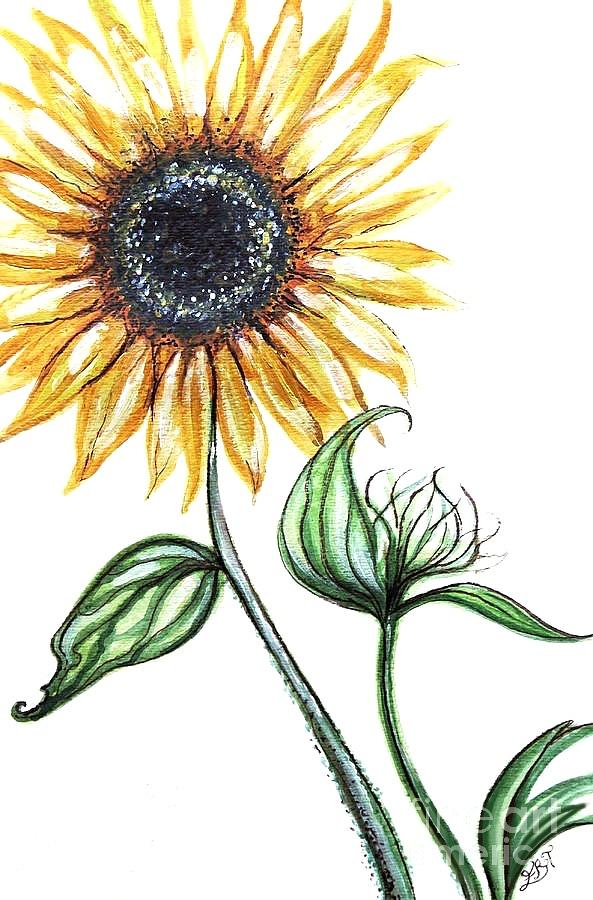 Sunflower Botanical Painting by Elizabeth Robinette Tyndall - Pixels