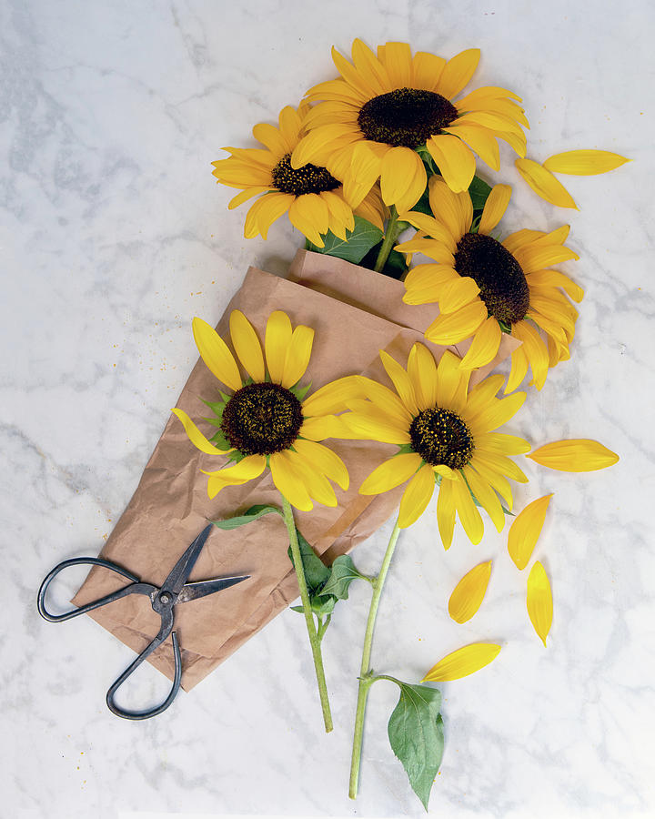 Summer Photograph - Sunflower Bouquet by Rebecca Cozart