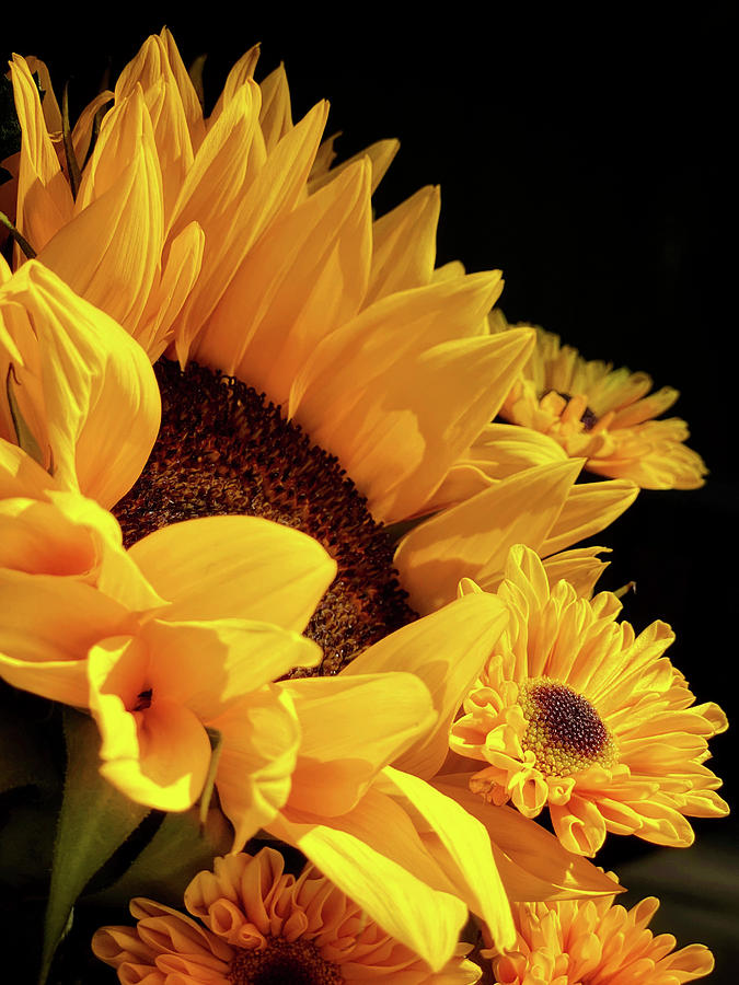 Sunflower Bouquet Photograph by Steph Gabler