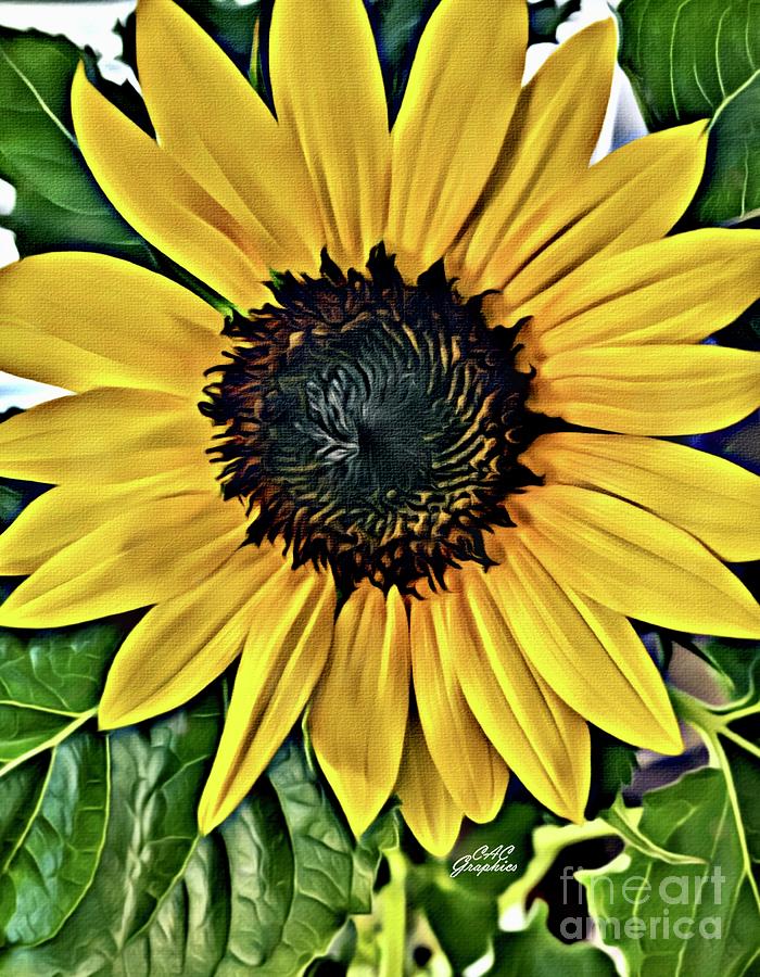 Sunflower Painting by CAC Graphics