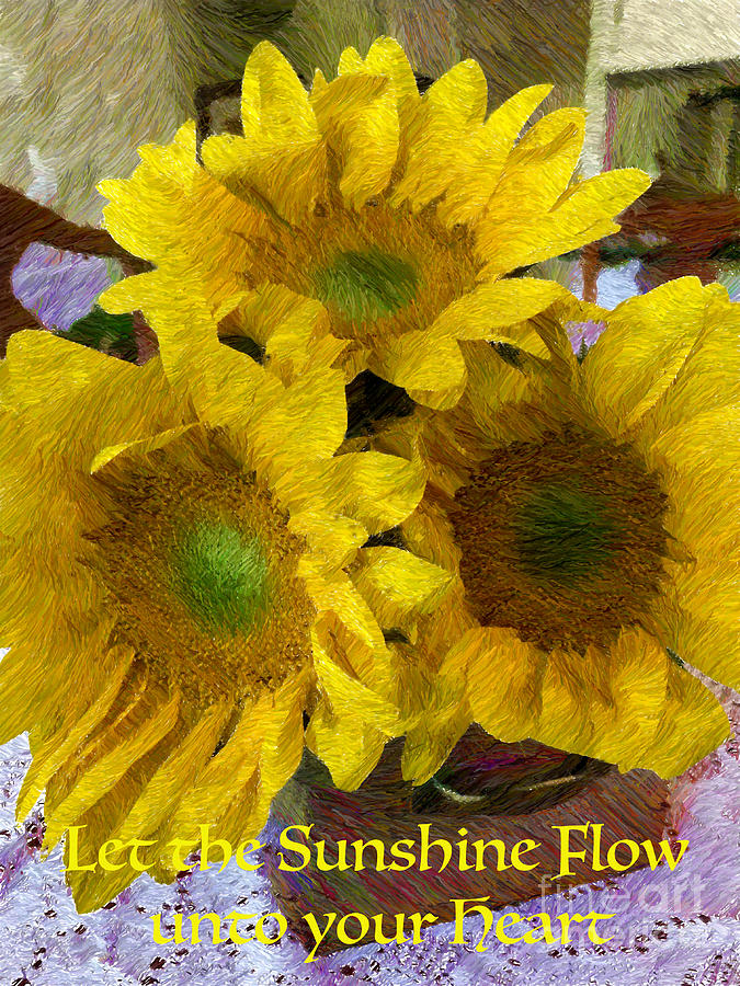 Sunflower Card Photograph by Katherine Erickson