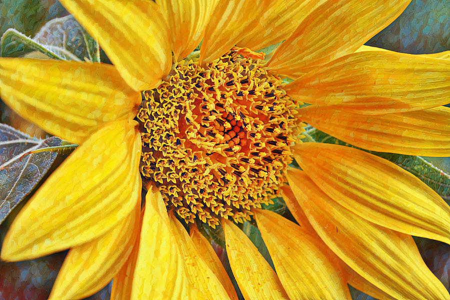 Sunflower Close Up In Your Face Digital Art by Gaby Ethington
