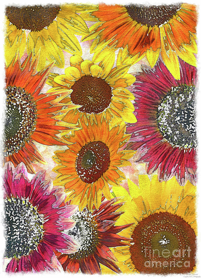 Sunflower collage 3b Mixed Media by Debbie Portwood