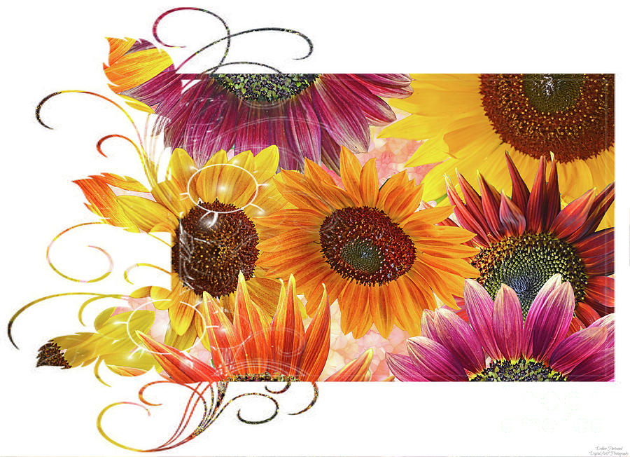 Sunflower collage 5a Mixed Media by Debbie Portwood