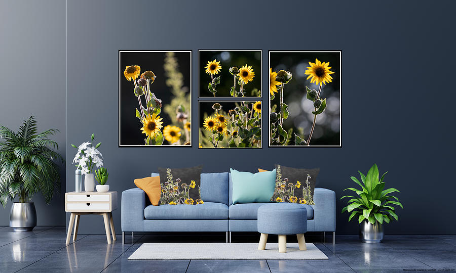 Sunflower Collection - suggested arrangement Photograph by Mark Berman