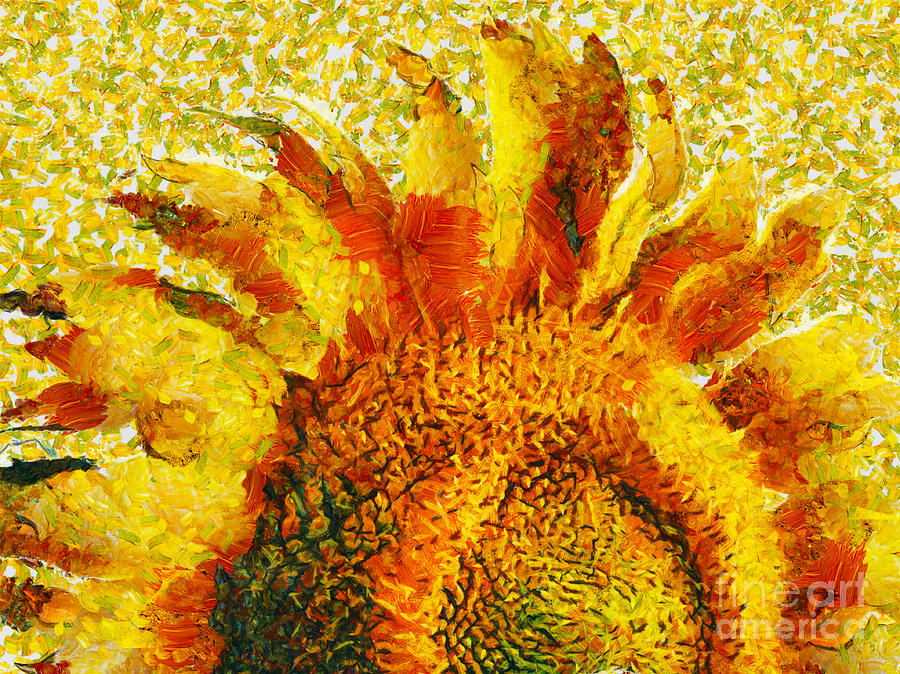 Sunflower  Mixed Media by Daliana Pacuraru
