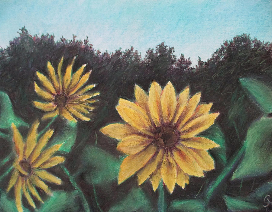 Sunflower Days Painting by Jen Shearer