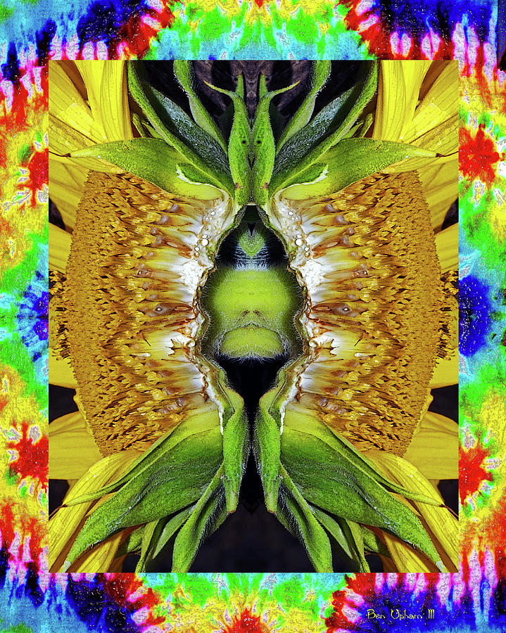 Sunflower Dewd in a Tie Dye Frame Photograph by Ben Upham III
