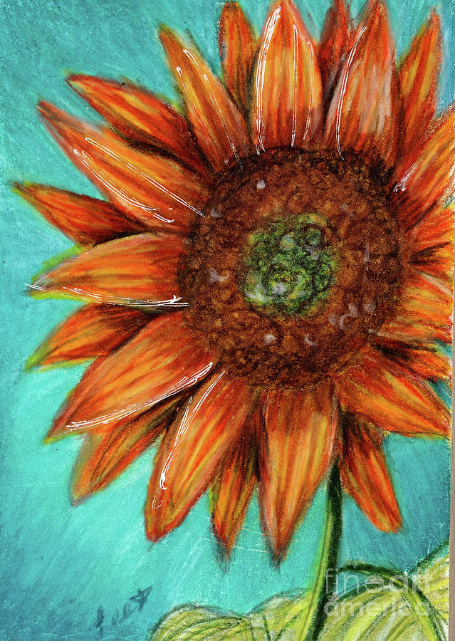 Sunflower Mixed Media by Dorothy Lee