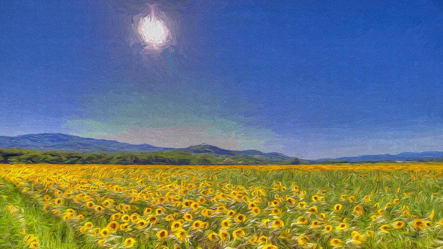 Sunflower Dreaming Art Print Photograph