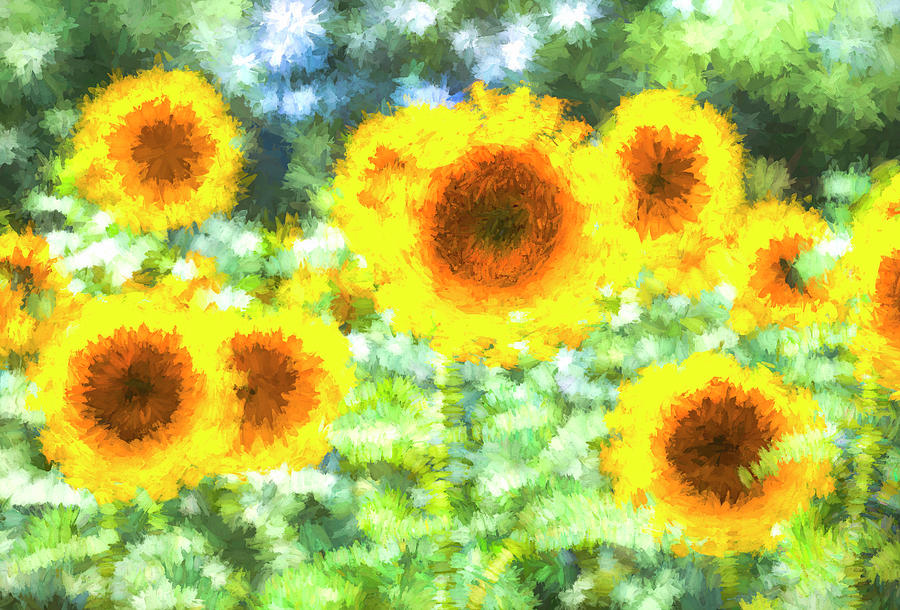 Sunflower Dreams Art Photograph