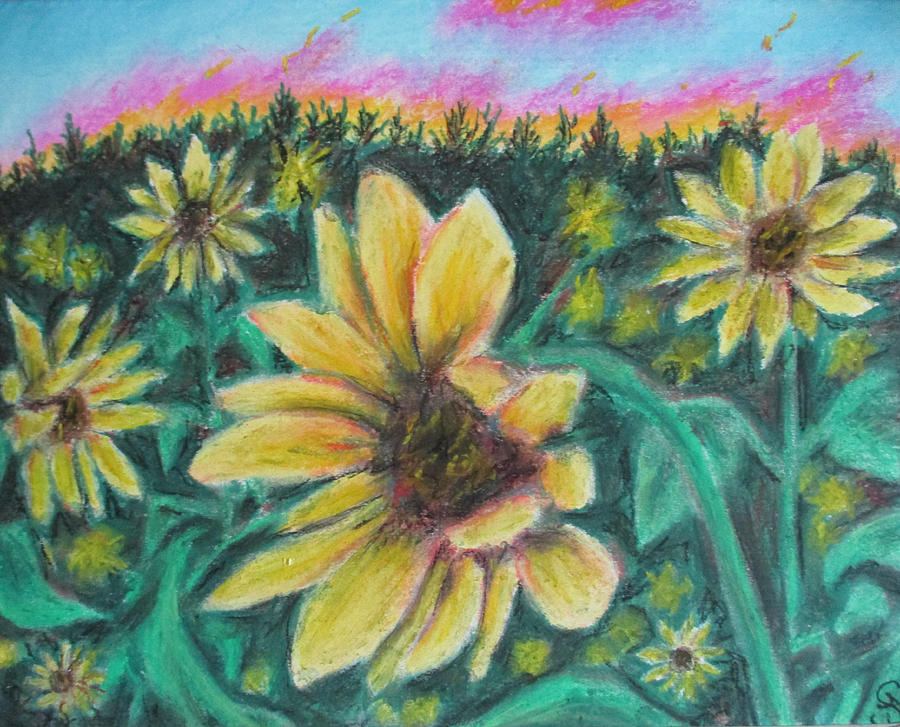 Sunflower Dreams Painting by Jen Shearer