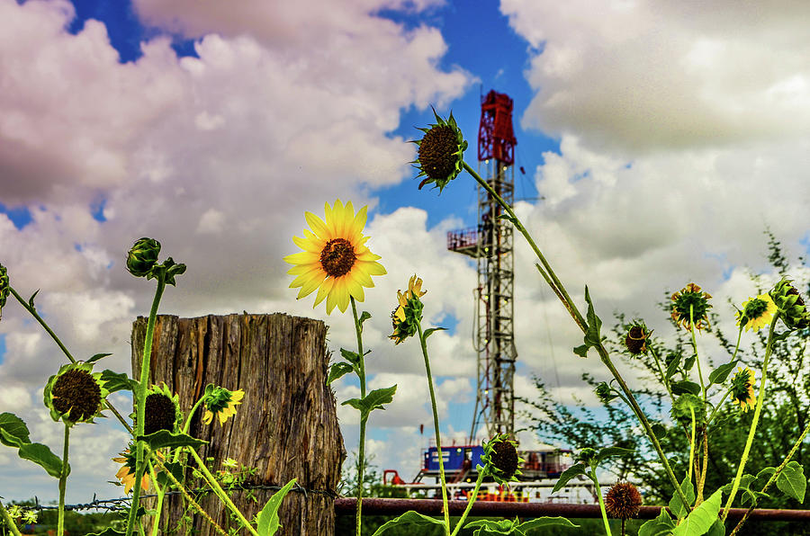 Sunflower Drilling Rig Photograph By Tim Singley Fine Art America