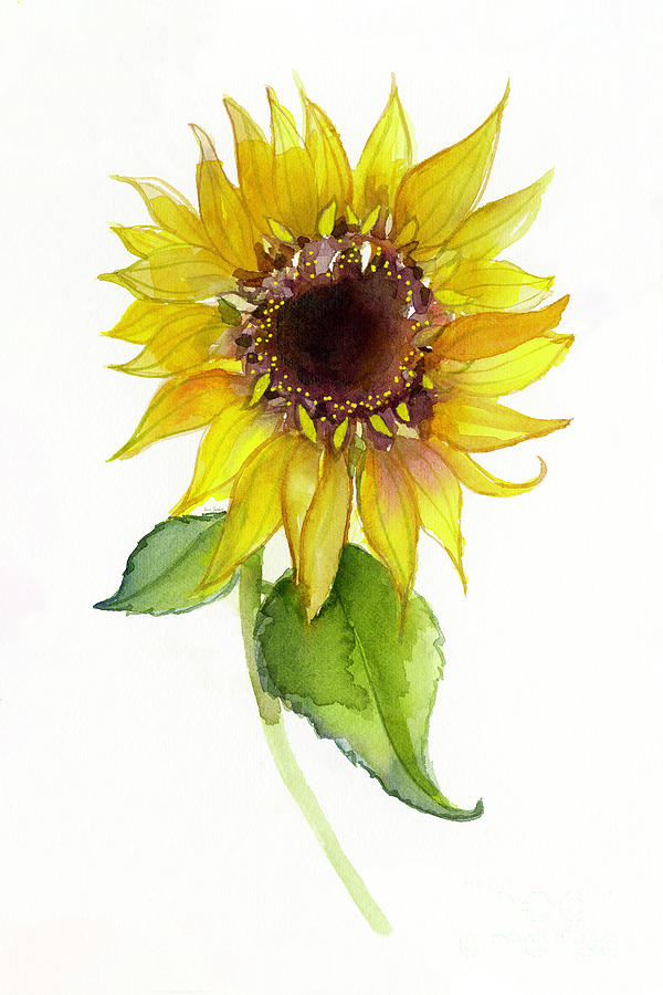 Sunflower Elegance on White Painting by Sue Zipkin