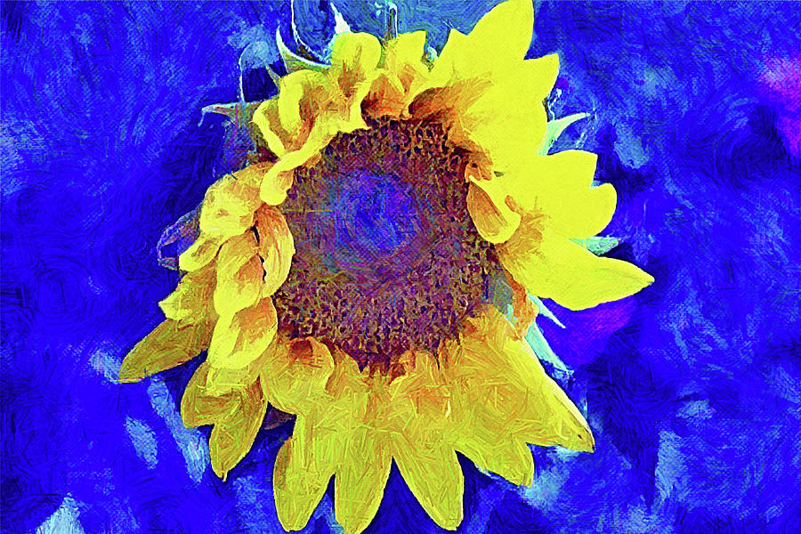 Sunflower Emotion Digital Art by Gaby Ethington