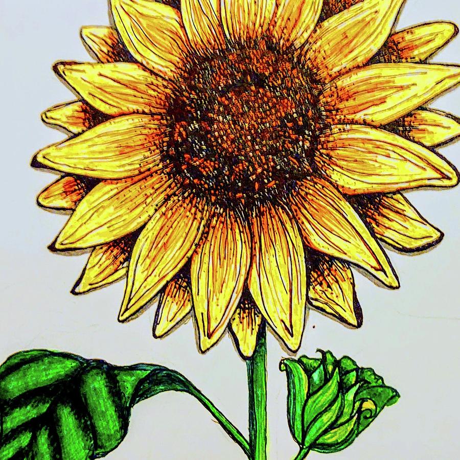 Sunflower sketch with soft shading on Craiyon