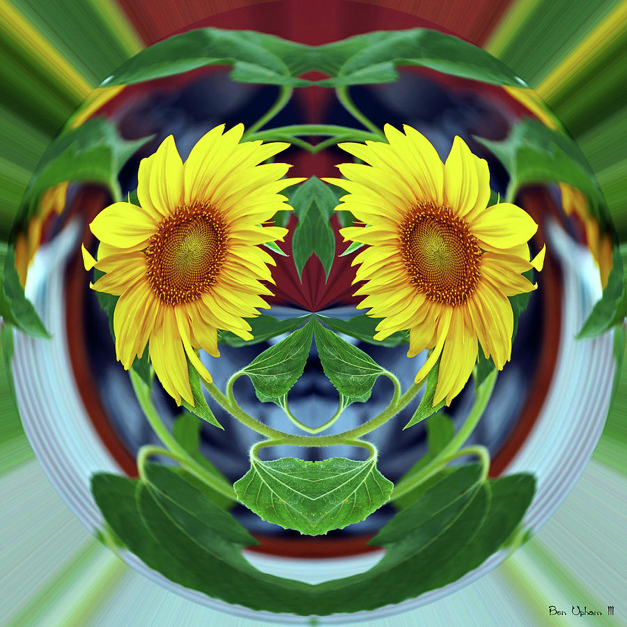 Sunflower Face Photograph by Ben Upham III