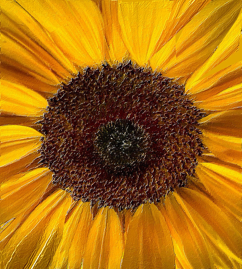 Sunflower Face Painting by Tony Rubino