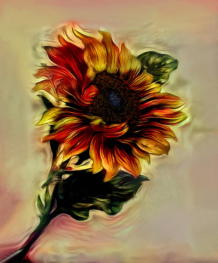 Sunflower Facing The Sun Photograph by Sandi OReilly