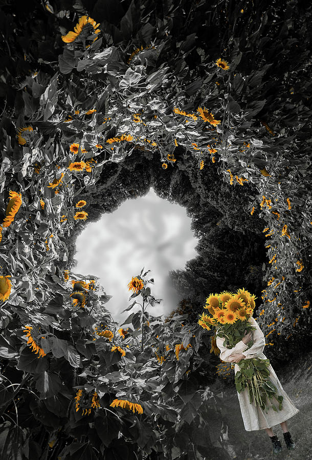 Sunflower Fantasy Photograph by Mark Dottle