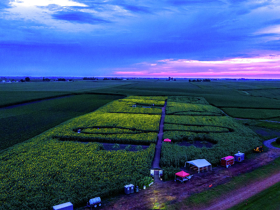 Sunflower Farm Photograph by Caleb Howard Pixels