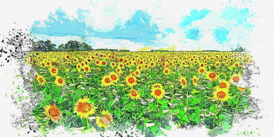 Sunflower Field 4, ca 2021 by Ahmet Asar, Asar Studios Painting by Celestial Images