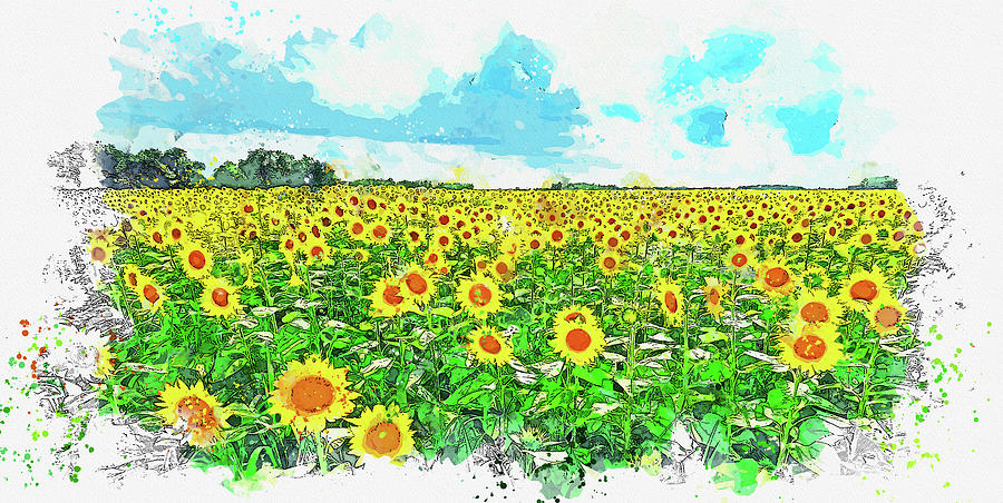 Sunflower Field, ca 2021 by Ahmet Asar, Asar Studios Painting by Celestial Images