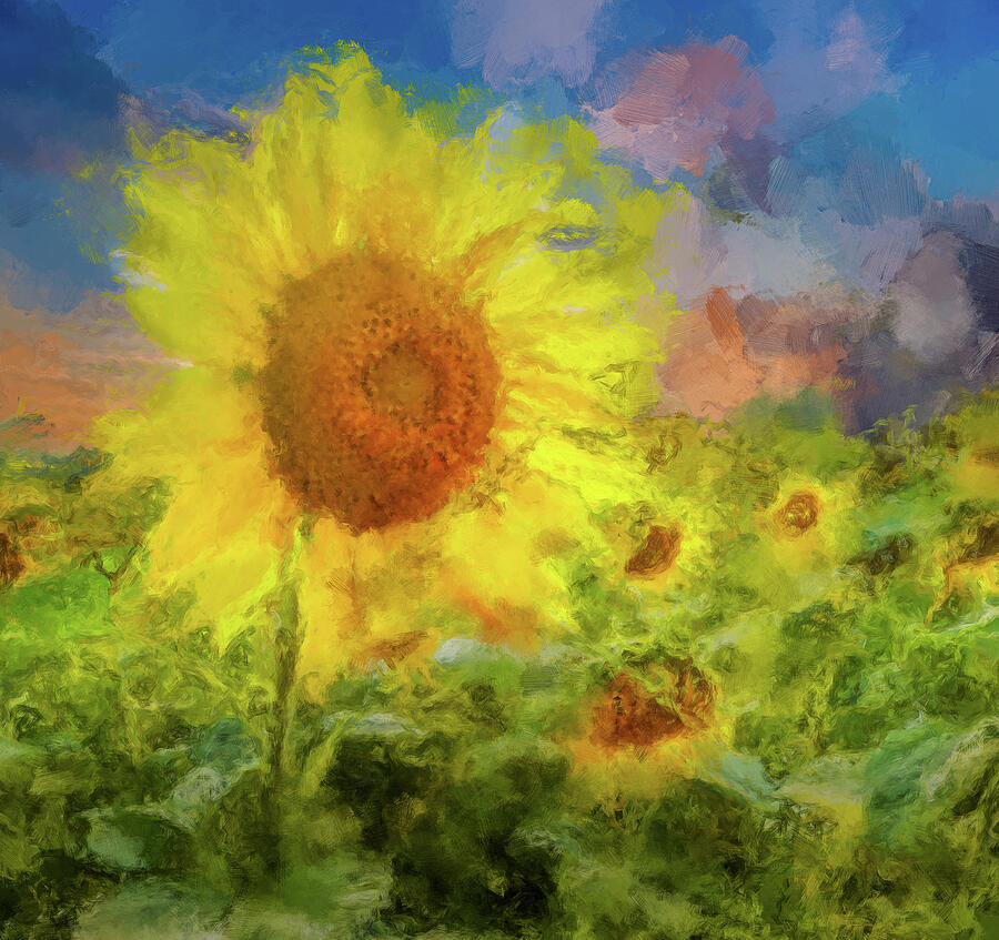 Sunflower Field Impressionism Painting by Dan Sproul - Fine Art America