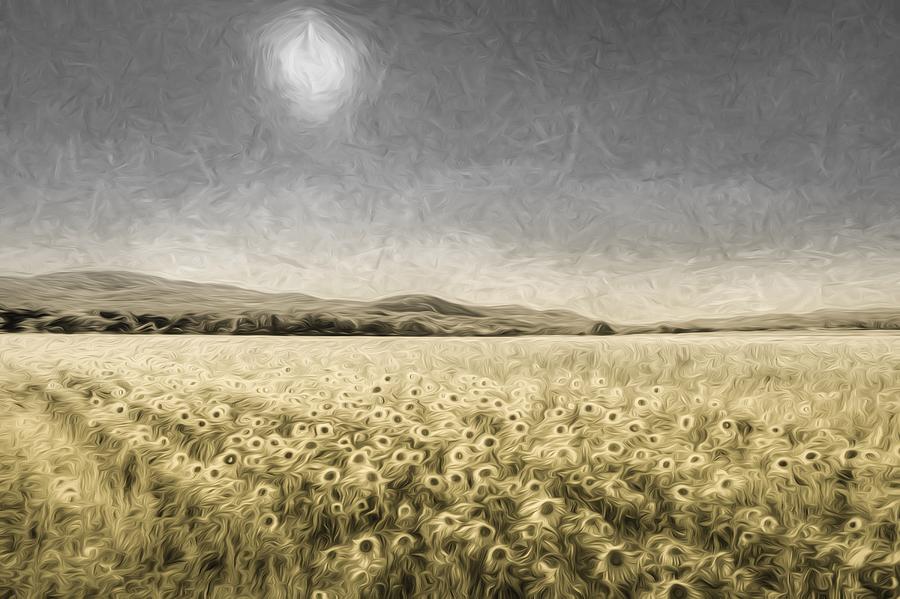 Sunflower Field Of Art Photograph