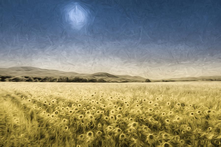 Sunflower Fields Of Art Photograph