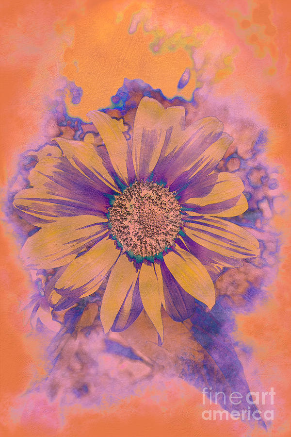 Sunflower for Morgan Photograph by Bentley Davis