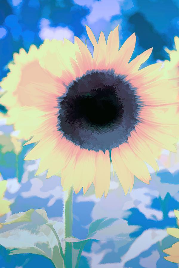 Sunflower From The Blue Art Photograph