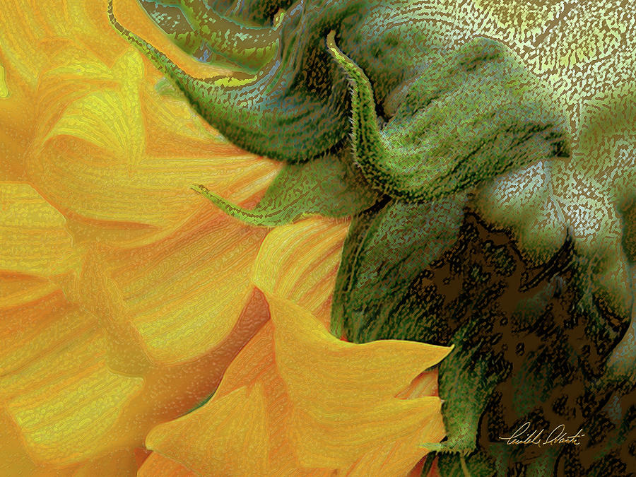 Sunflower Photograph - Sunflower from the side by Michele Avanti