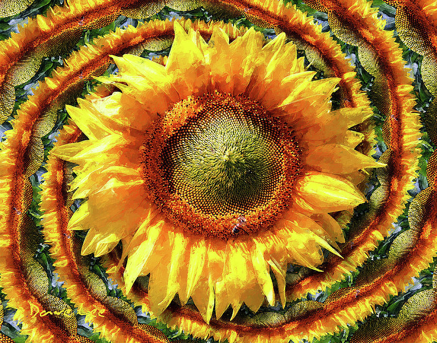Sunflower Galaxy by Dave Lee Sunflower Galaxy by Dave Lee