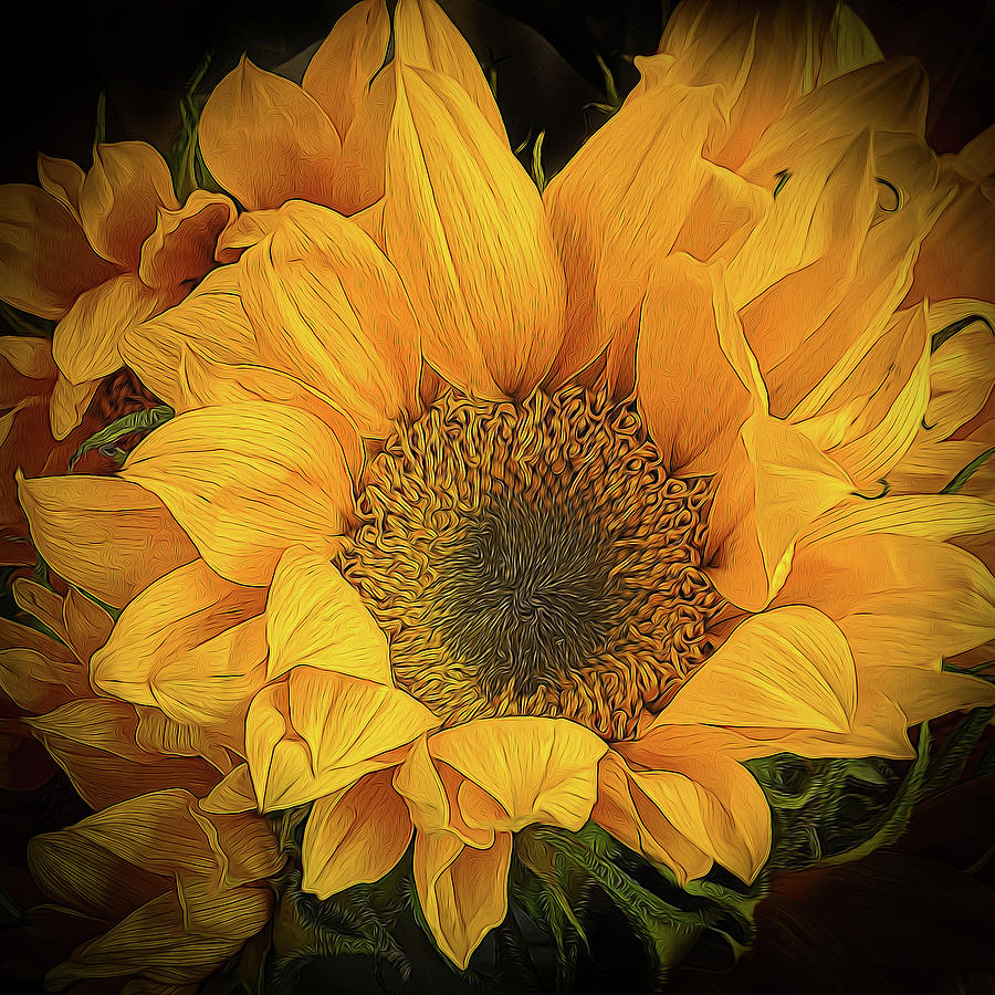Sunflower Photograph by Georgette Grossman