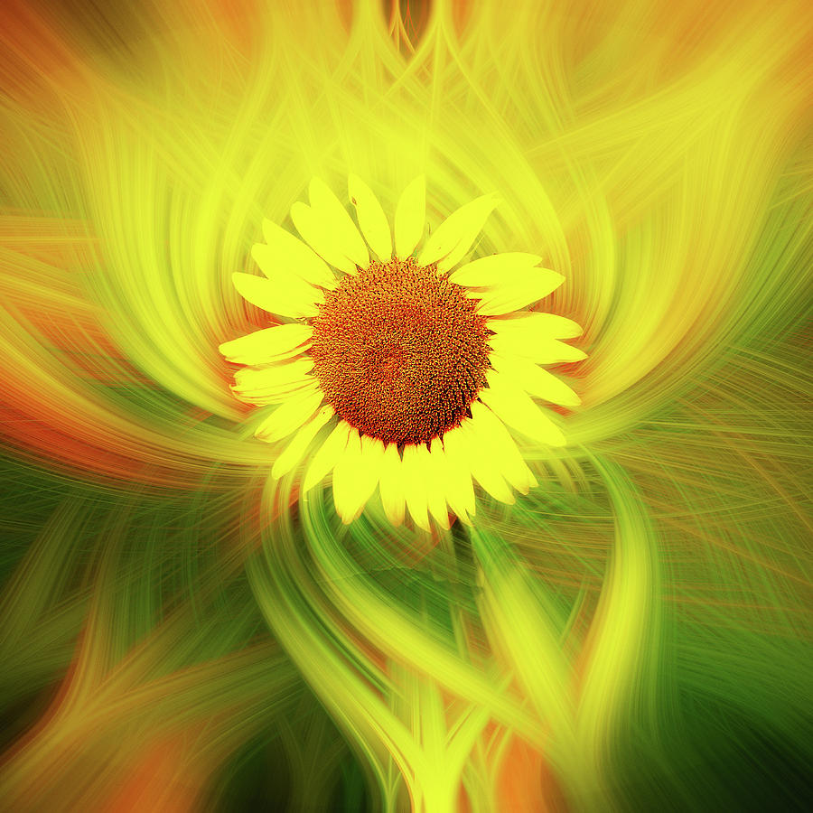Sunflower Glow Digital Art by Dan Sproul
