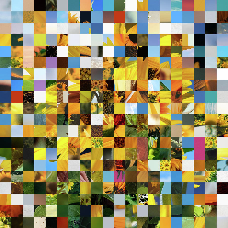 Sunflower Grid Art Digital Art by Tin Tran Fine Art America