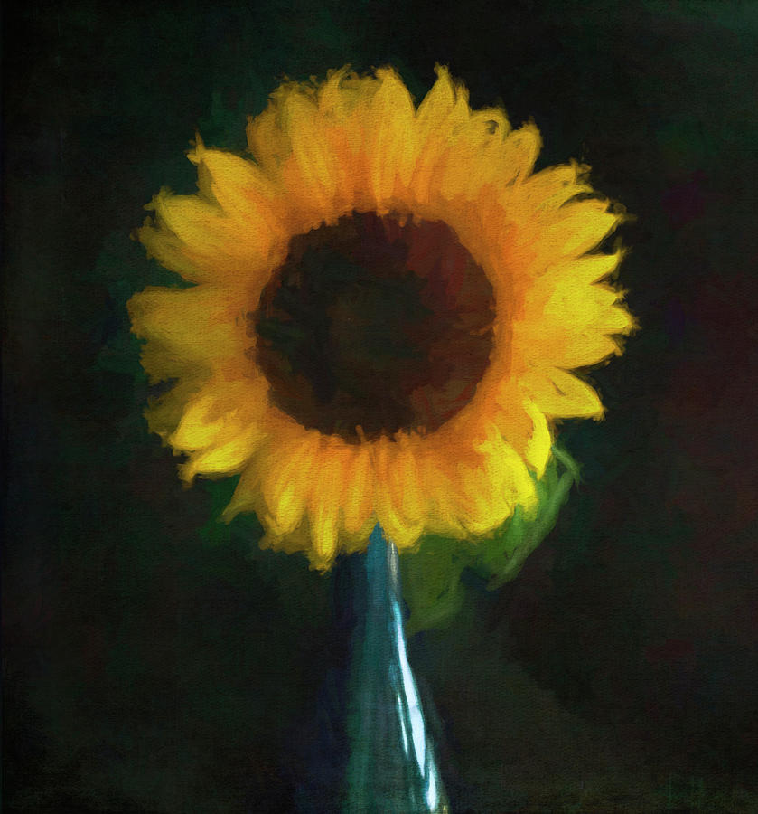 Sunflower Impression Photograph by Cathy Kovarik